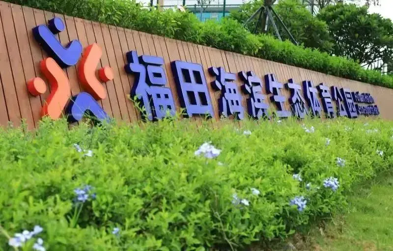 篮球体能训练计划模板大学生_1